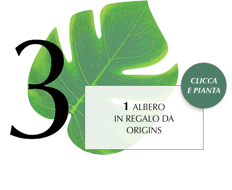 ELC_MeseTerra_iniziativa3_OK_rev